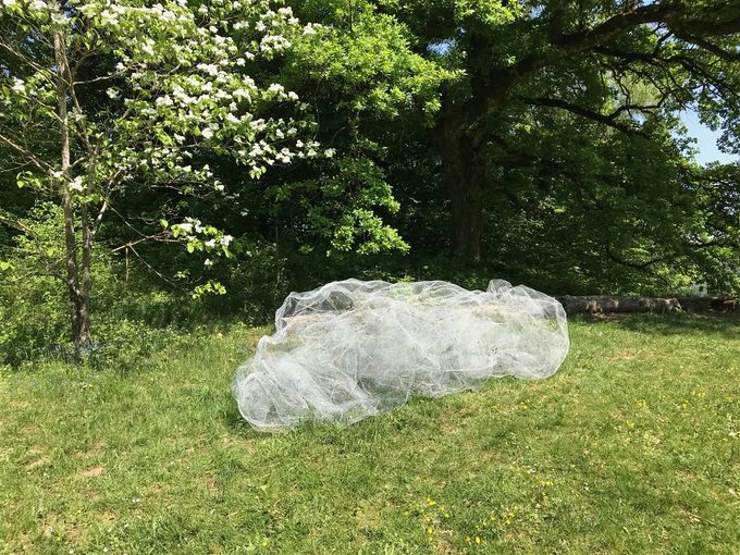 ARTboretum, Exposition de sculptures, l'Artboretum du Vallon Aubonne